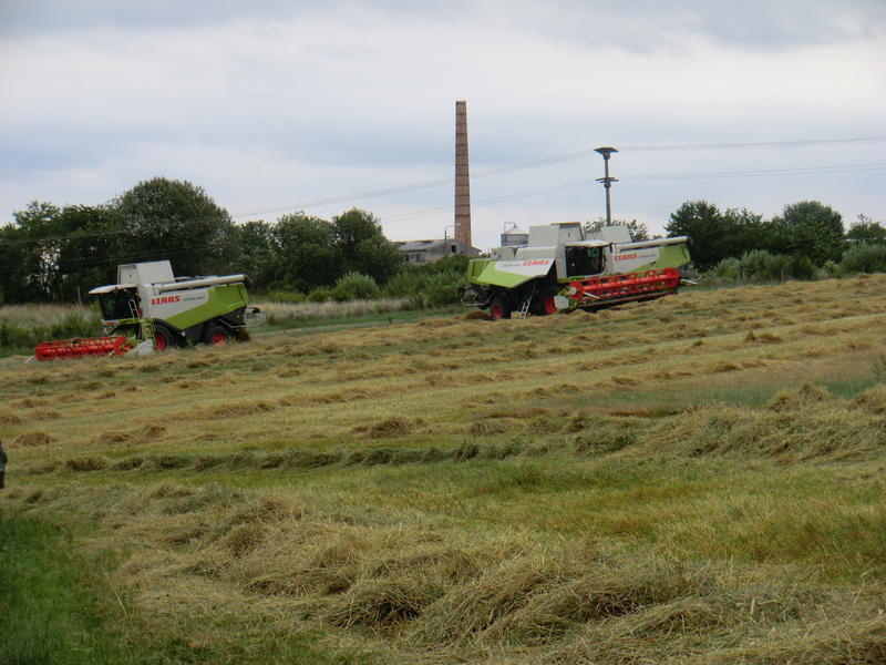 bilder/21_7_2012/CIMG9785.jpg