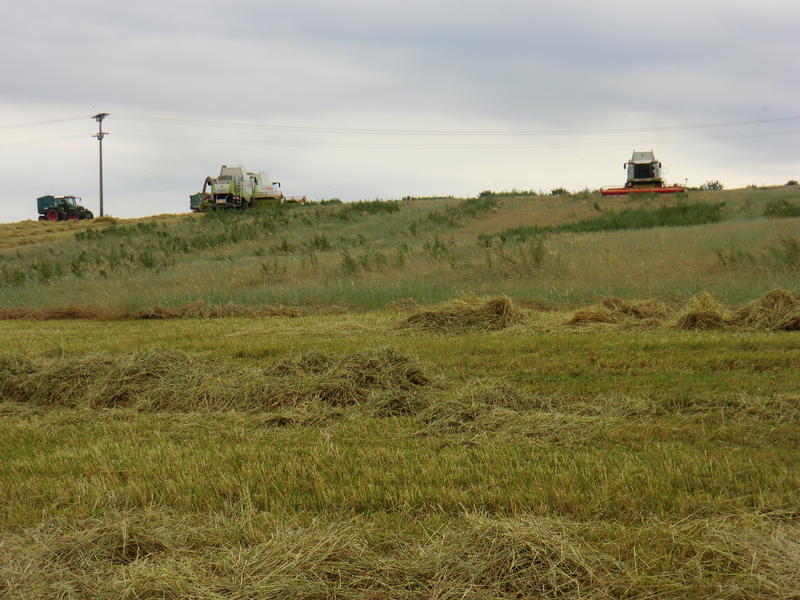 bilder/21_7_2012/CIMG9789.jpg