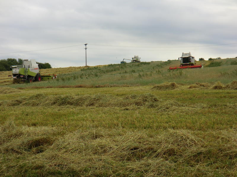 bilder/21_7_2012/CIMG9790.jpg