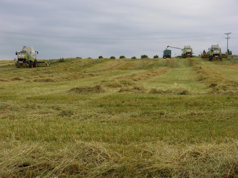 bilder/30_7_2004_3/fendt_3.jpg