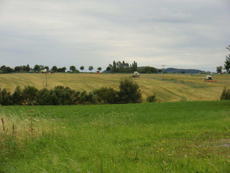 CIMG9812.jpg