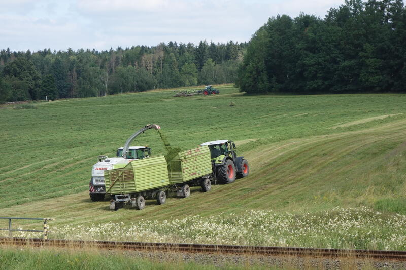 bilder/5_5_2013/CIMG7243.jpg