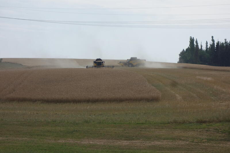 bilder/1_5_2005_2/terra_gator_10.jpg