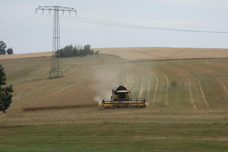 bilder/12_8_2013/CIMG9092.jpg