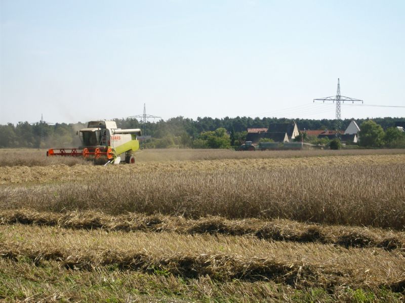 IMGP2489.jpg