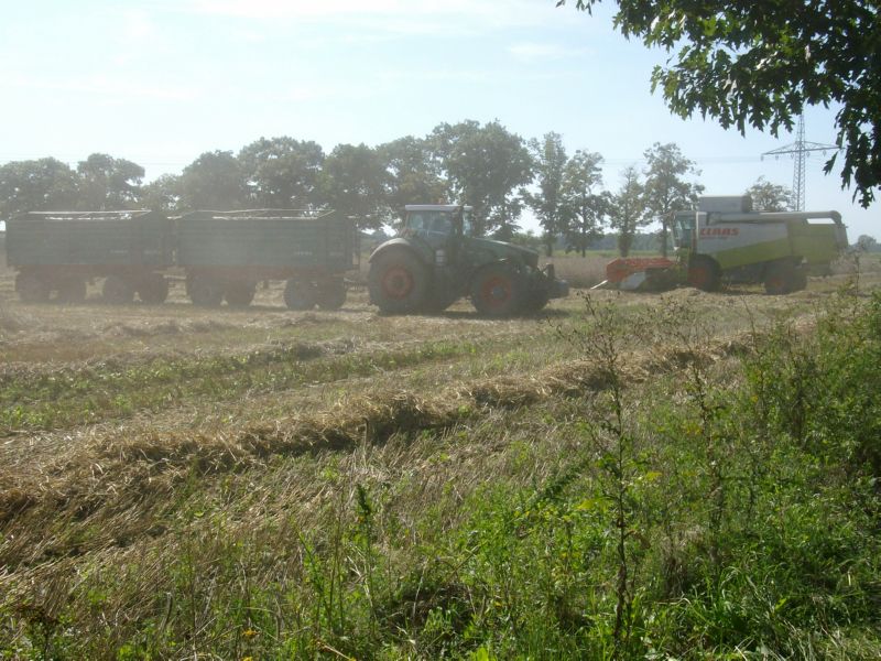 IMGP2502.jpg