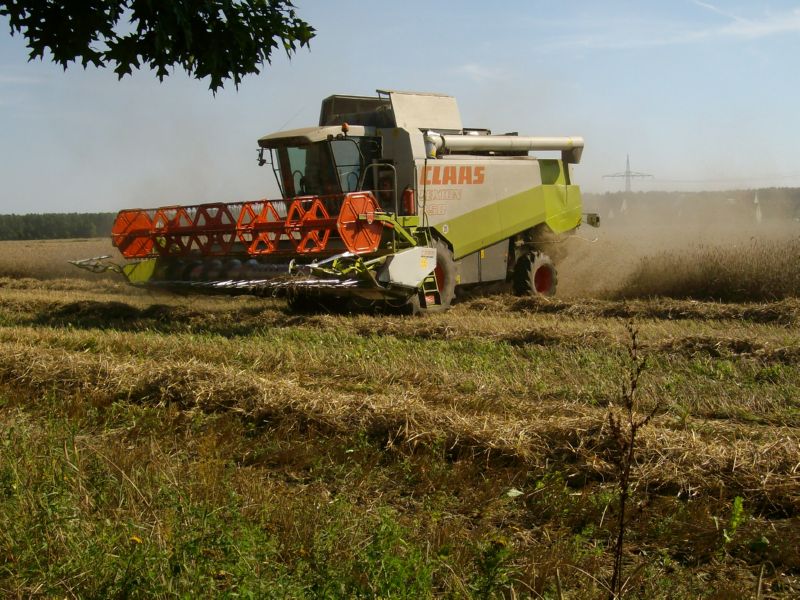 bilder/20_5_2004/xerion_3.jpg