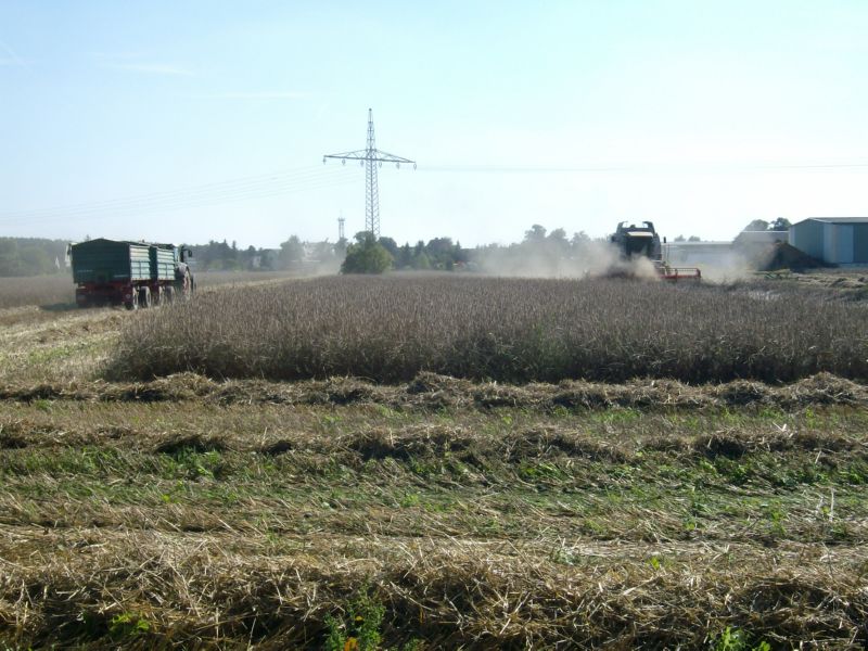 IMGP2508.jpg
