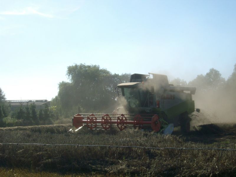 IMGP2555.jpg