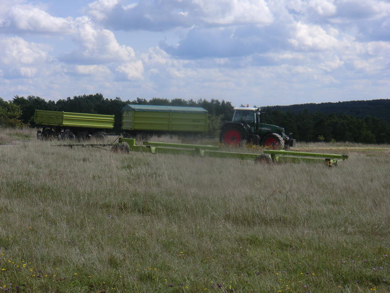 CIMG7661.jpg