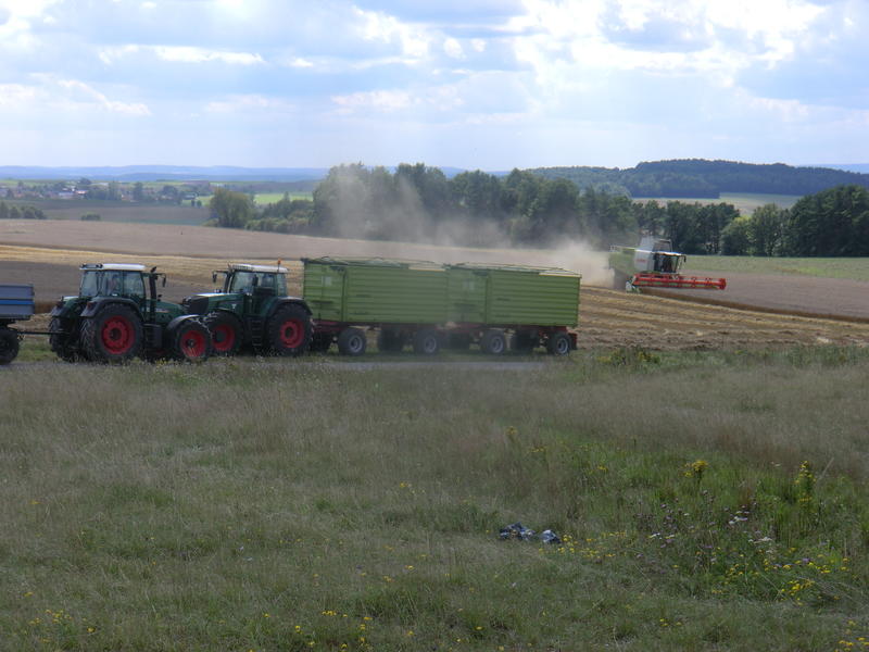 bilder/21_8_2014/CIMG7662.jpg