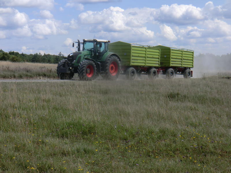 CIMG7664.jpg