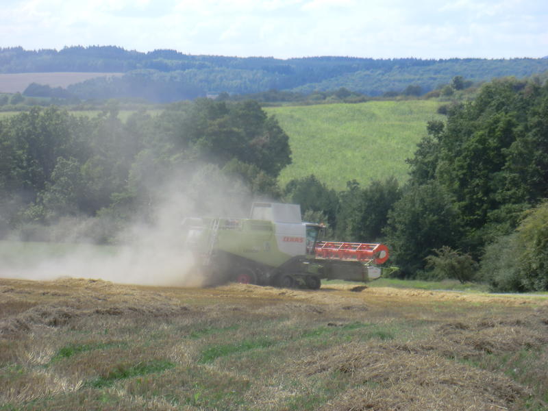 bilder/21_8_2014/CIMG7681.jpg