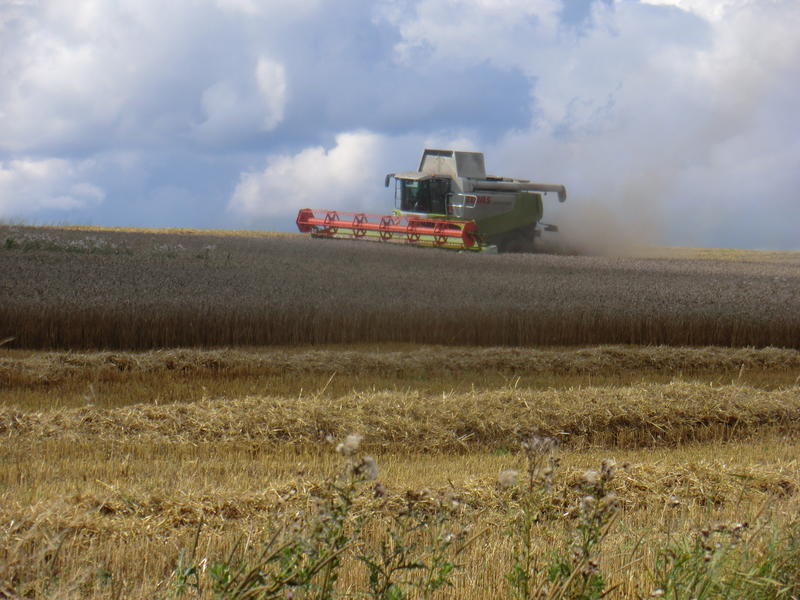 bilder/21_8_2014/CIMG7684.jpg