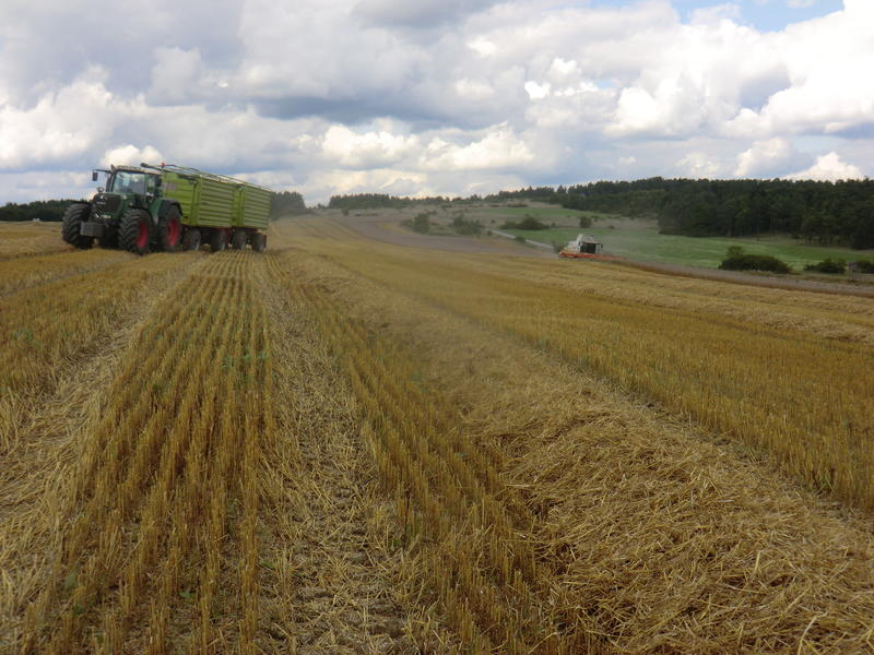 bilder/21_8_2014/CIMG7687.jpg