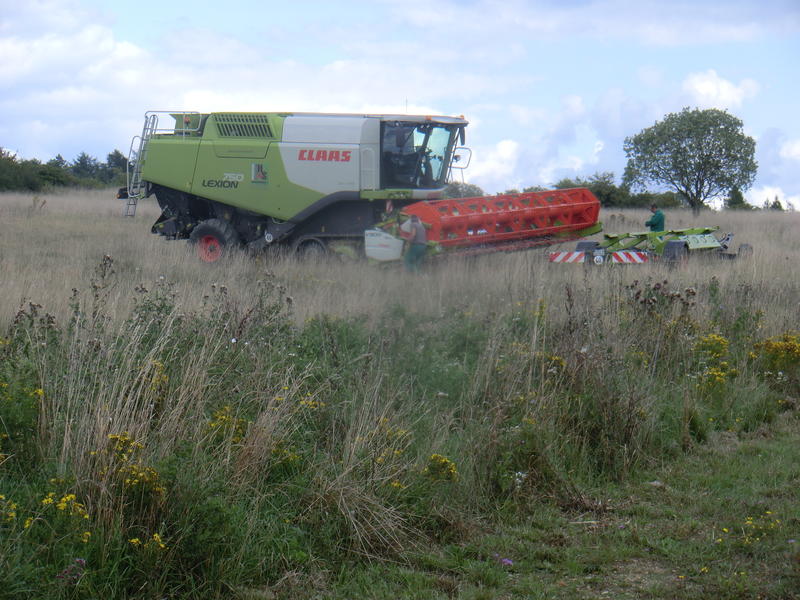 bilder/2024_09_23/DSC09472.jpg