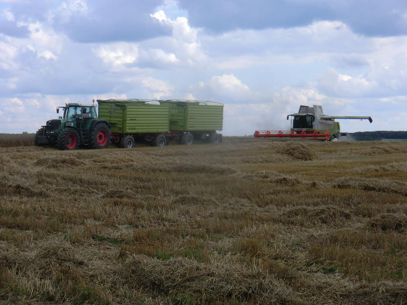 bilder/21_8_2014/CIMG7698.jpg
