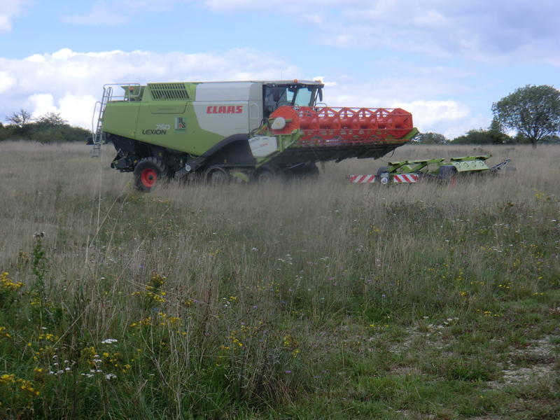 CIMG7699.jpg