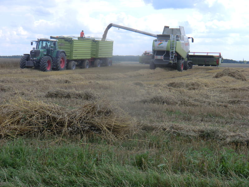 bilder/21_8_2014/CIMG7700.jpg