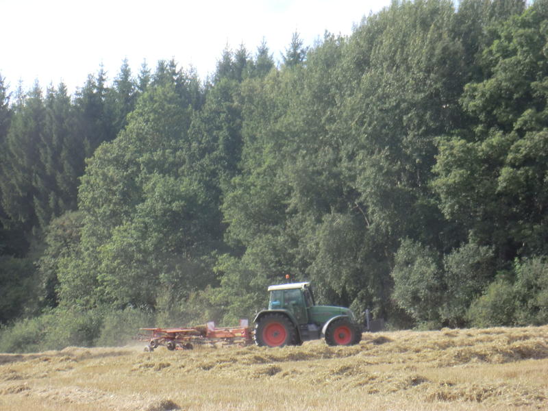 bilder/21_8_2014_2/CIMG7709.jpg