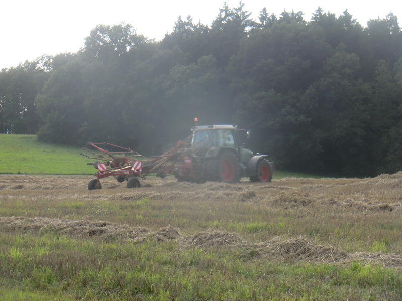 bilder/21_8_2014_2/CIMG7714.jpg