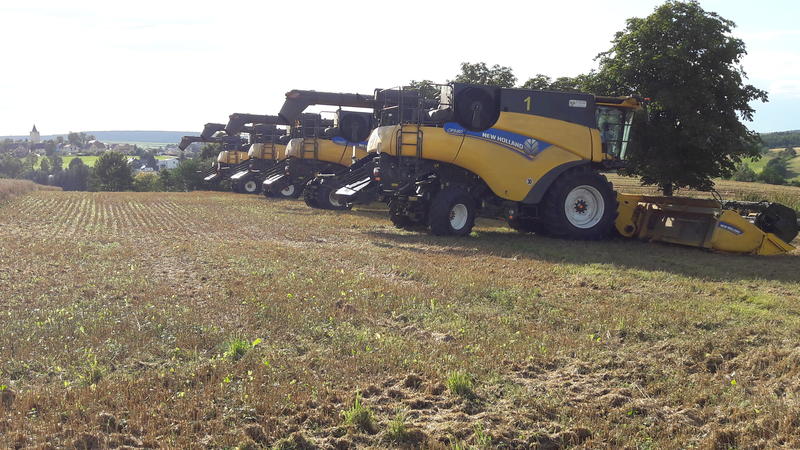 bilder/30_7_2004/lexion_5.jpg