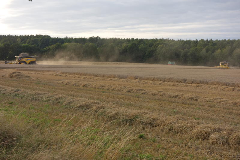 bilder/1_7_2013/CIMG7938.jpg