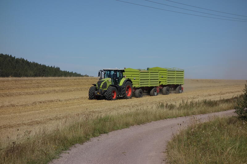 DSC09959.jpg