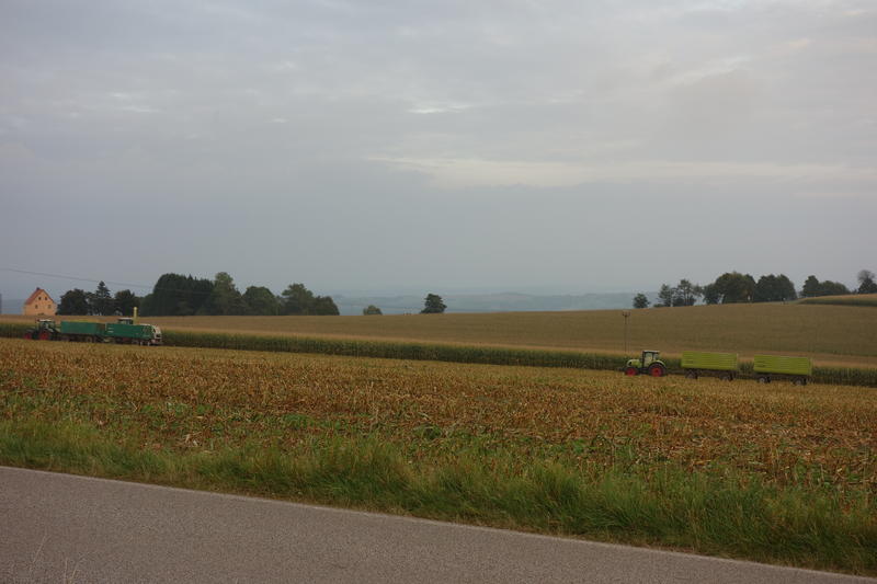 DSC00417.jpg