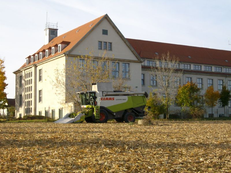 IMGP3491.jpg
