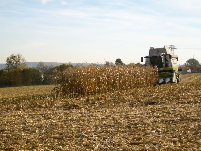 bilder/6_8_2002_1/fendt_716_+_fendt_514_+_weimar.jpg
