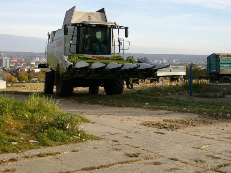 bilder/28_8_2002/zt_303.jpg