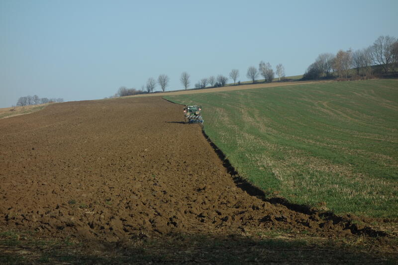 bilder/22_3_2022/DSC02119.jpg