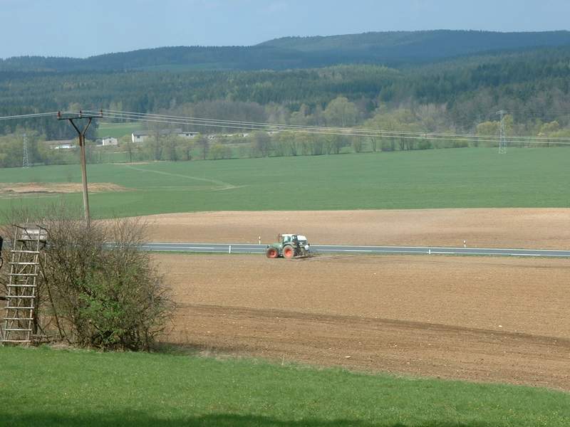 bilder/20_7_2008/IMGP0634.jpg