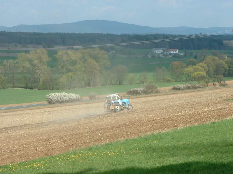 bilder/22_4_2002/zt_303_3.jpg