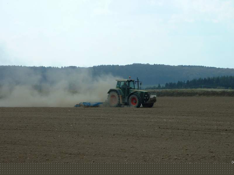 bilder/3_9_2004/mega_w50_2.jpg
