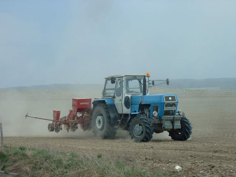 bilder/22_4_2003/zt_303_2.jpg