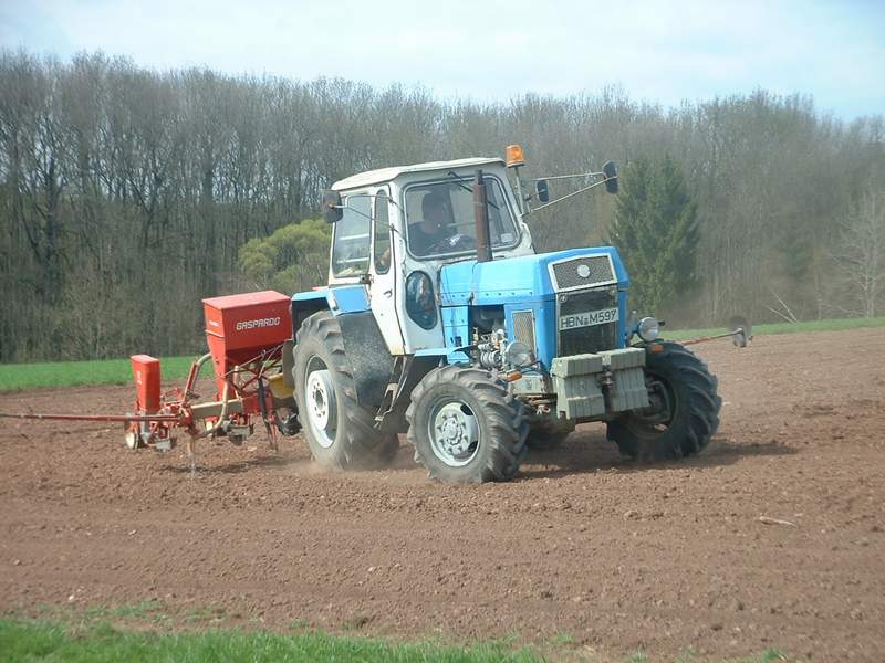 bilder/22_4_2004/zt_303_7.jpg