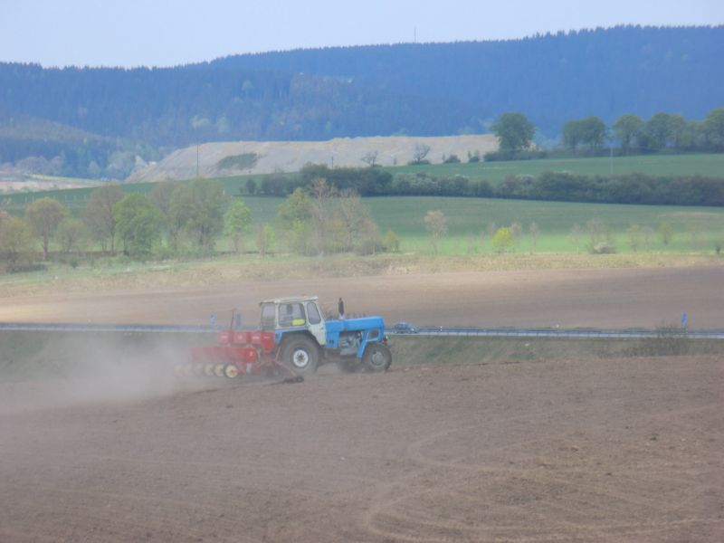 bilder/20_8_2003_1/terra_gator_6.jpg