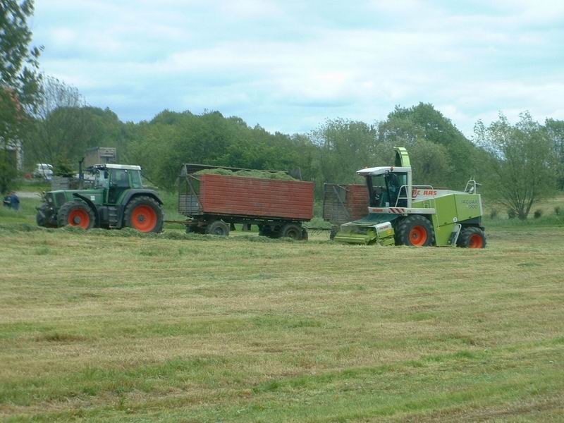 jaguar_fendt_16.jpg