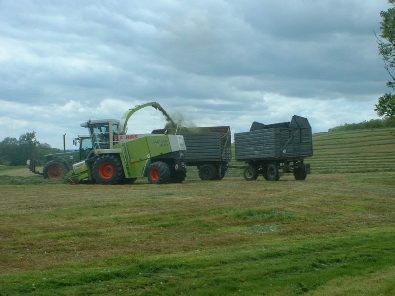 jaguar_fendt_29.jpg