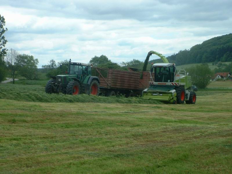 jaguar_fendt_6.jpg