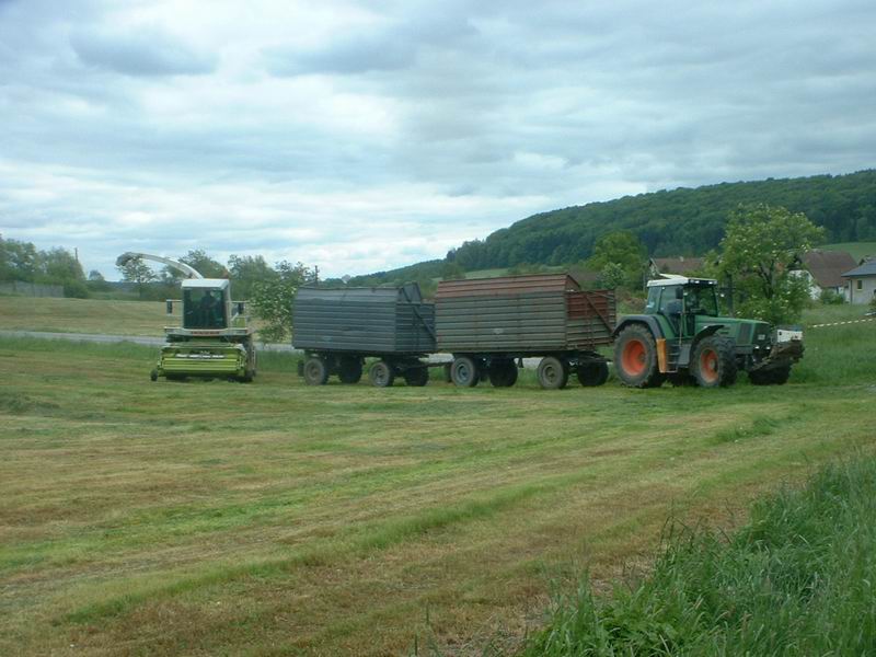 jaguar_fendt_9.jpg