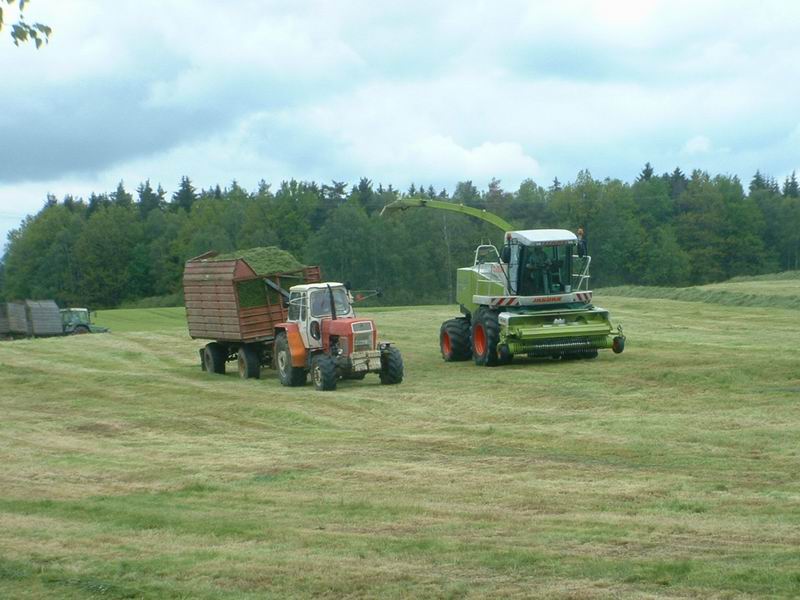 jaguar_fendt_zt_303_2.jpg