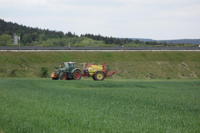 bilder/6_10_2014/CIMG8141.jpg