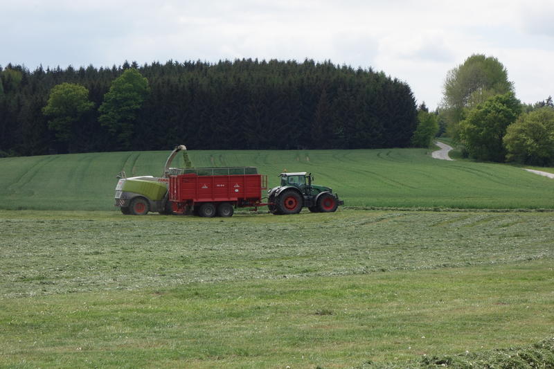 bilder/11_9_2016/DSC05600.jpg