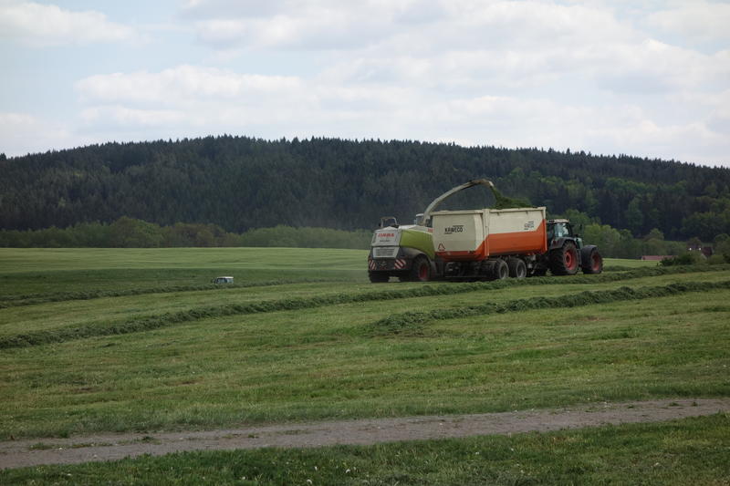 bilder/22_5_2015_4/DSC01436.jpg