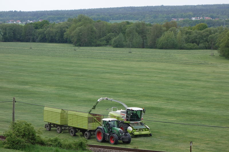 bilder/3_6_2004/terra_gator_3.jpg