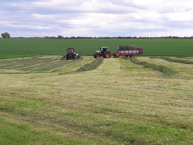 bilder/31_3_2005/fendt_818_13.jpg