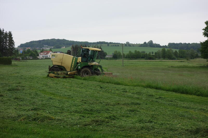 DSC02164.jpg